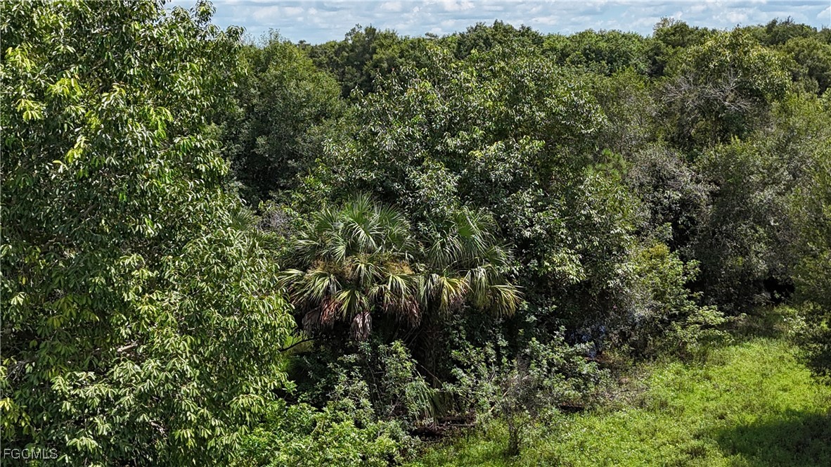 Anhinga Anhinga Road Naples, FL 34120 - Photo 12 of 39 Gallery Image 12