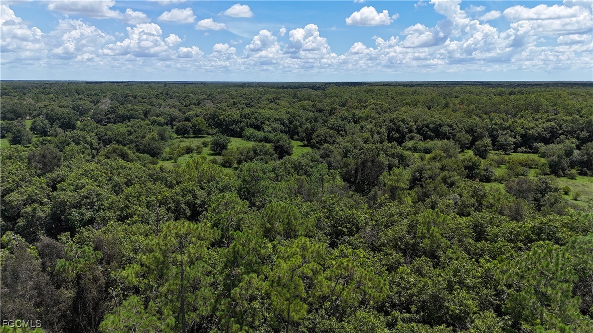 Anhinga Anhinga Road Naples, FL 34120 - Photo 28 of 39 Gallery Image 28