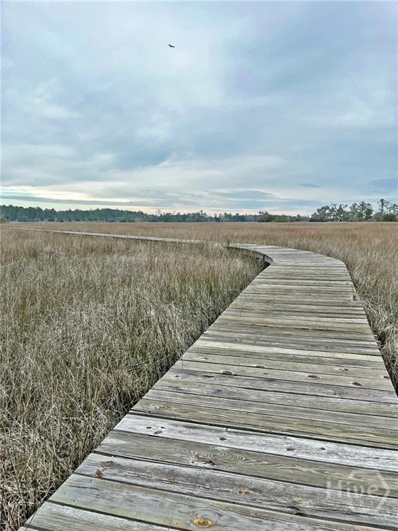 Tract4 South Newport Road Northeast Townsend, GA 31331 - Photo 11 of 14