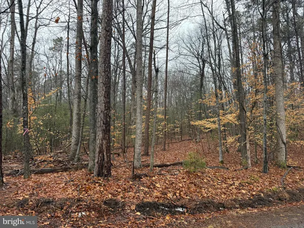 $125,000 | 0 Tatum School Road, Orange, VA 22960