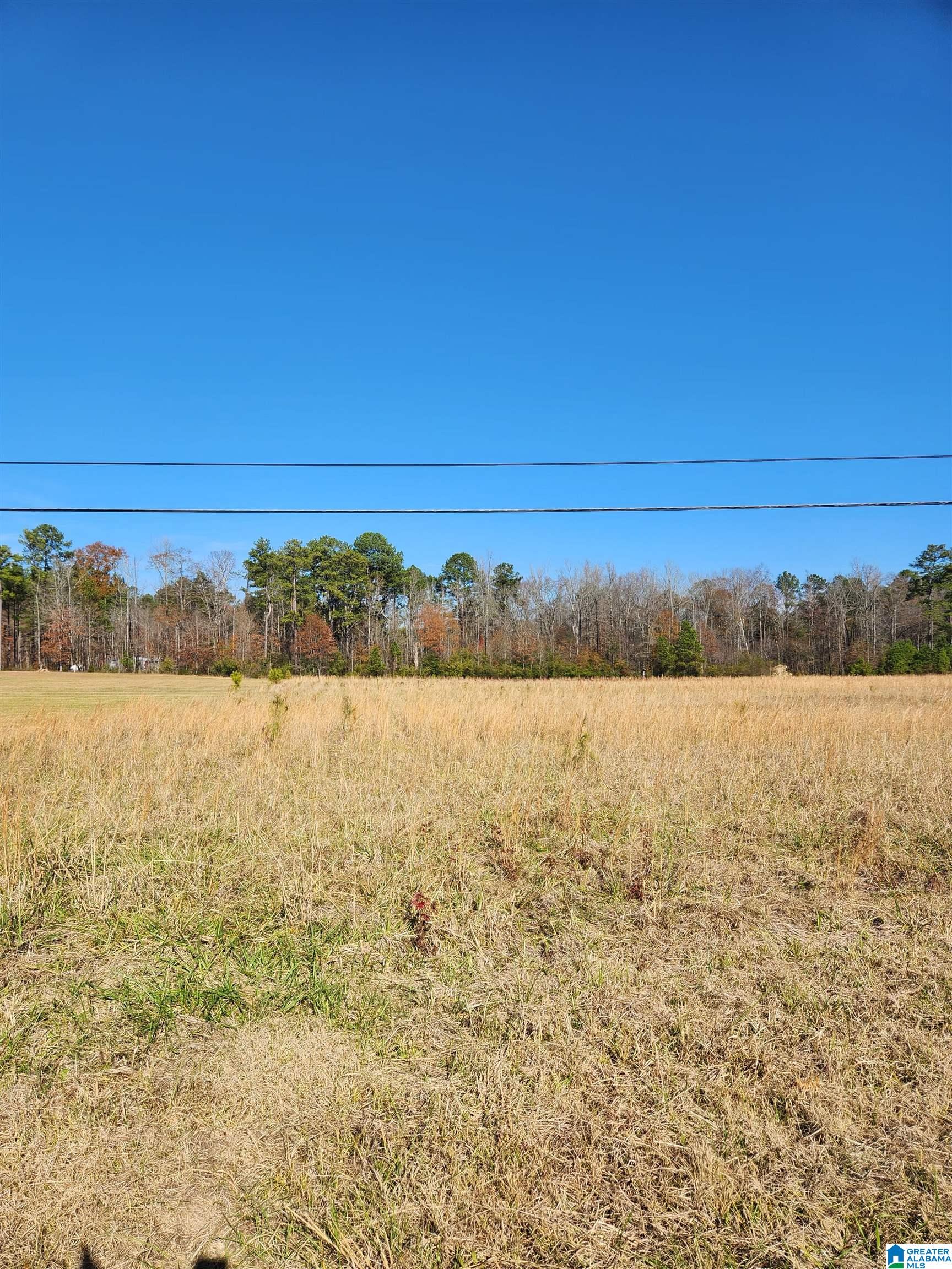 440 Fox Valley Farms Road, Unit 4 Alabaster, AL 35114 - Photo 6 of 12