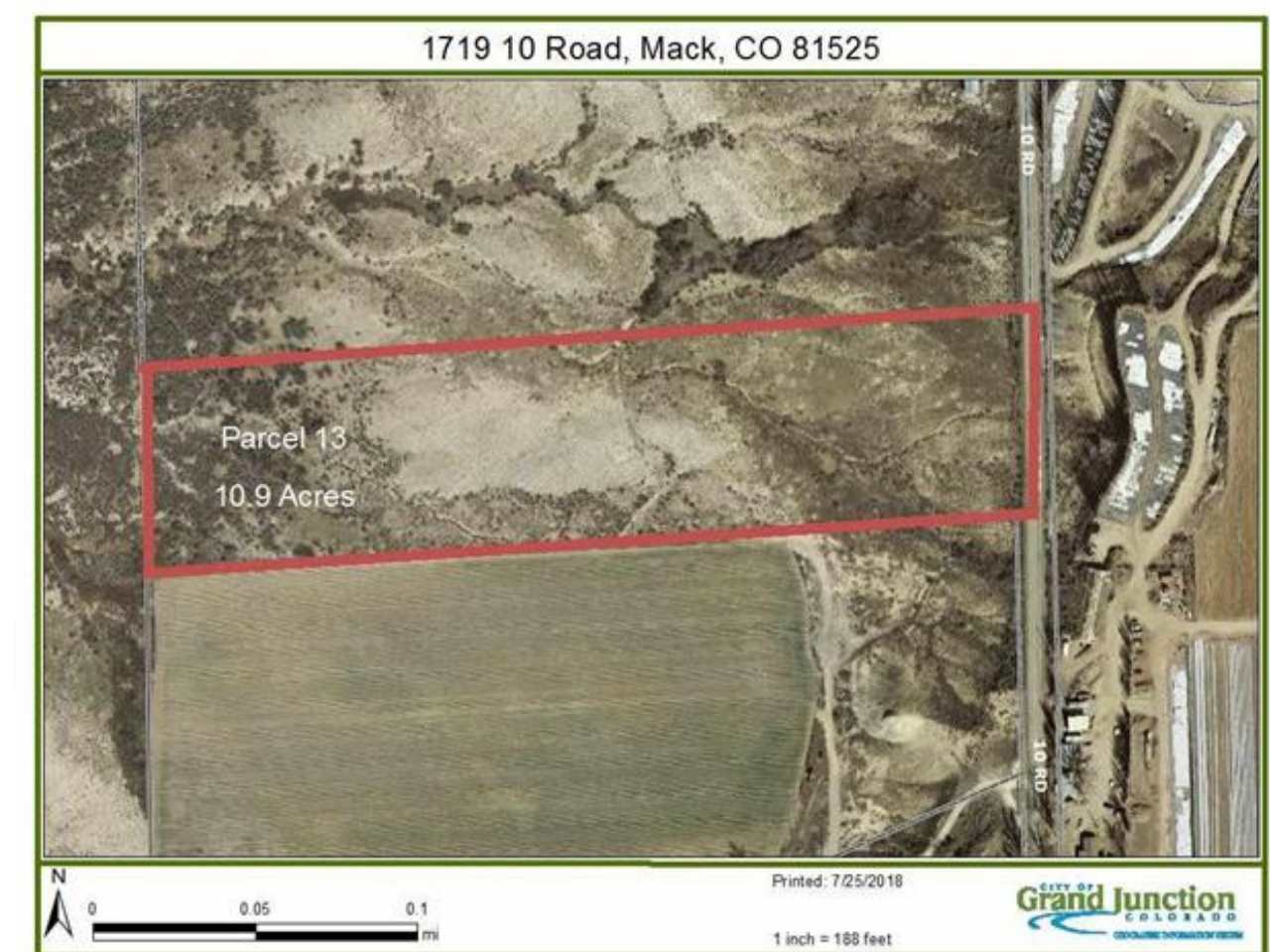 1719 10 Road Mack, CO 81525 - Photo 1 of 5 a picture of a tree