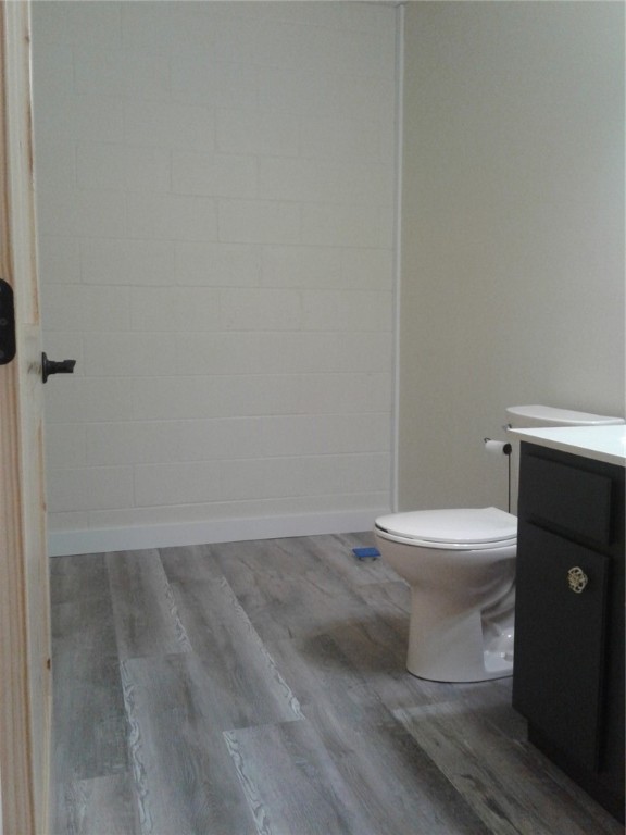 217 Hickory Ridge Mountain Rest, SC 29664 - Photo 16 of 38 Basement Rough In For Walk-In Shower