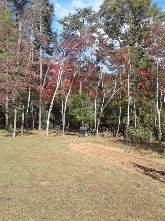 217 Hickory Ridge Mountain Rest, SC 29664 - Photo 34 of 38 Yard And Garden Space