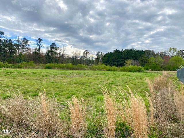 0 R R Street Micro, NC 27555 - Photo 1 of 3 Pic2