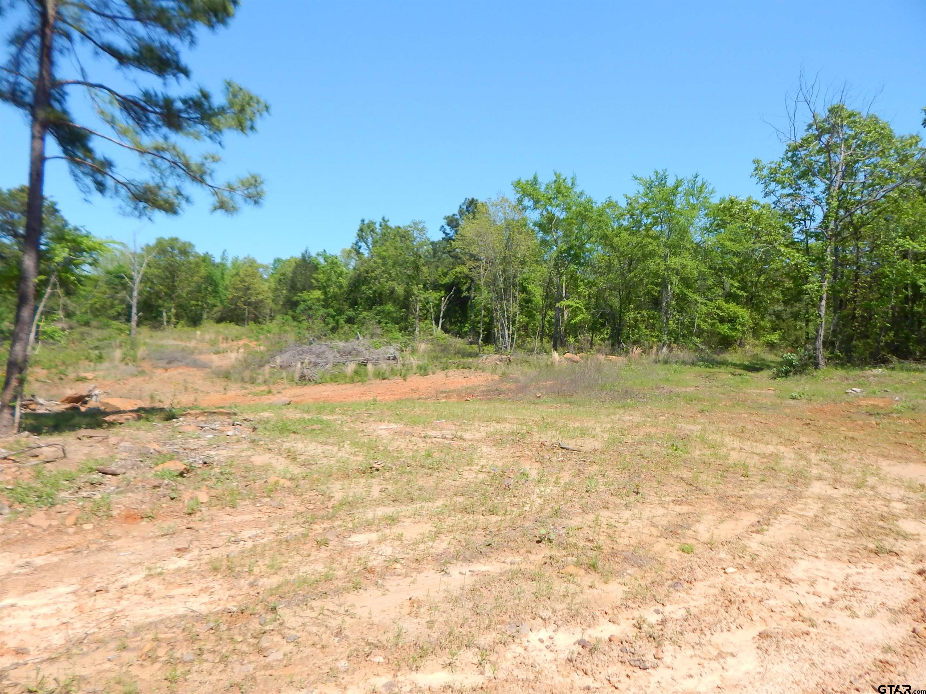 15 Acres Fm 1795 Big Sandy, TX 75755 - Photo 1 of 15