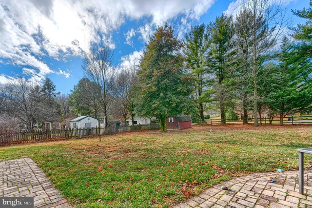 a view of a park with large trees