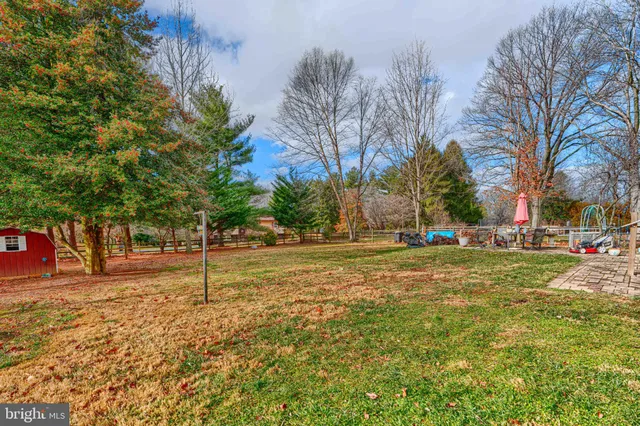 a view of a yard with a tree