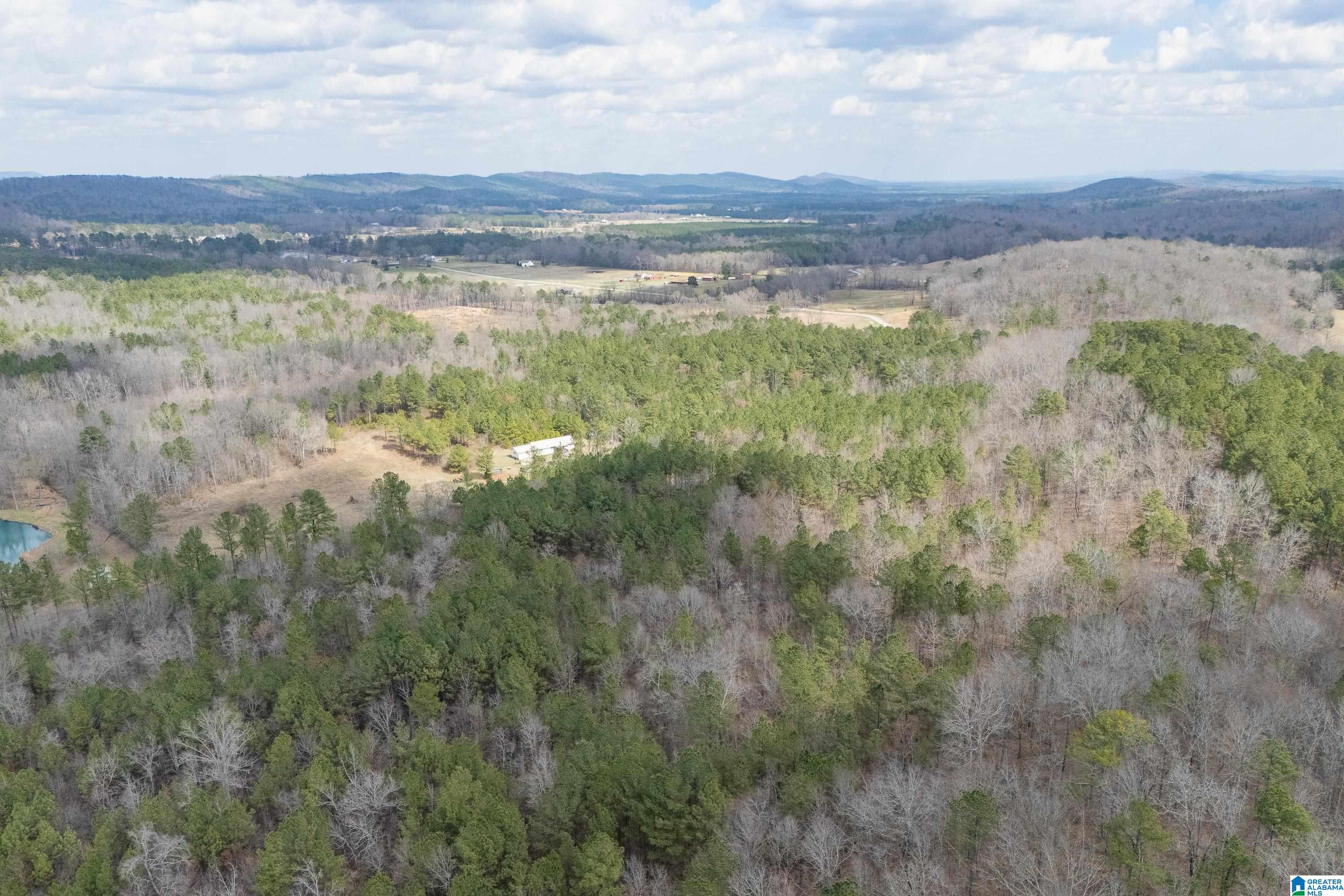 7 Fisher Phillips, Unit 7 Ashville, AL 35953 - Photo 20 of 28
