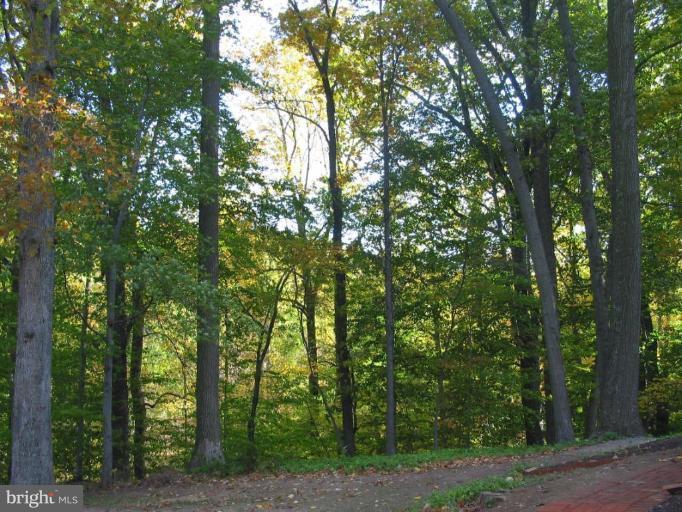 16531 Batchellors Forest Road Olney, MD 20832 - Photo 28 of 30 Scenic Vista