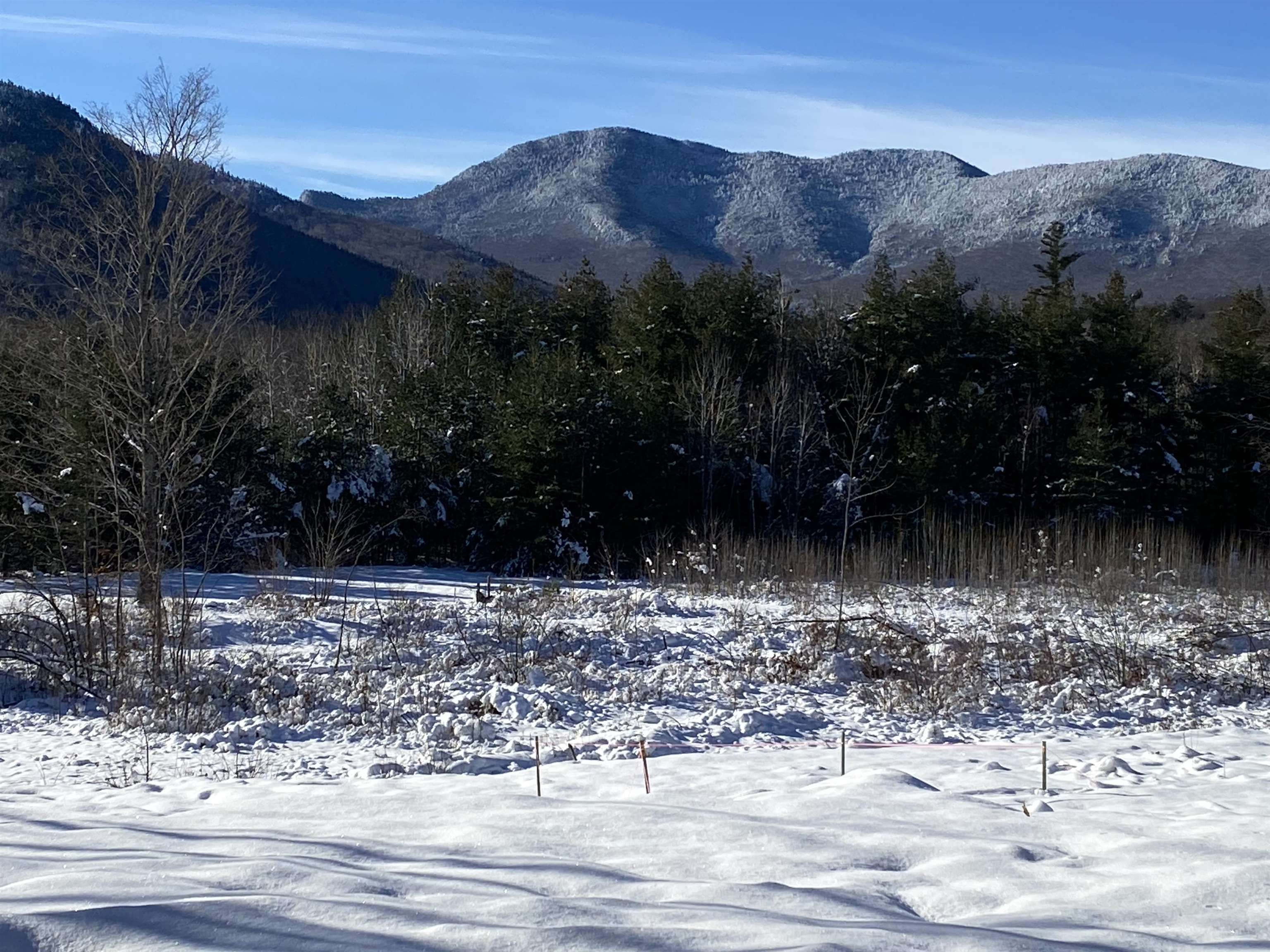 A3 Stanton Farm Road Bartlett, NH 03812 - Photo 2 of 11