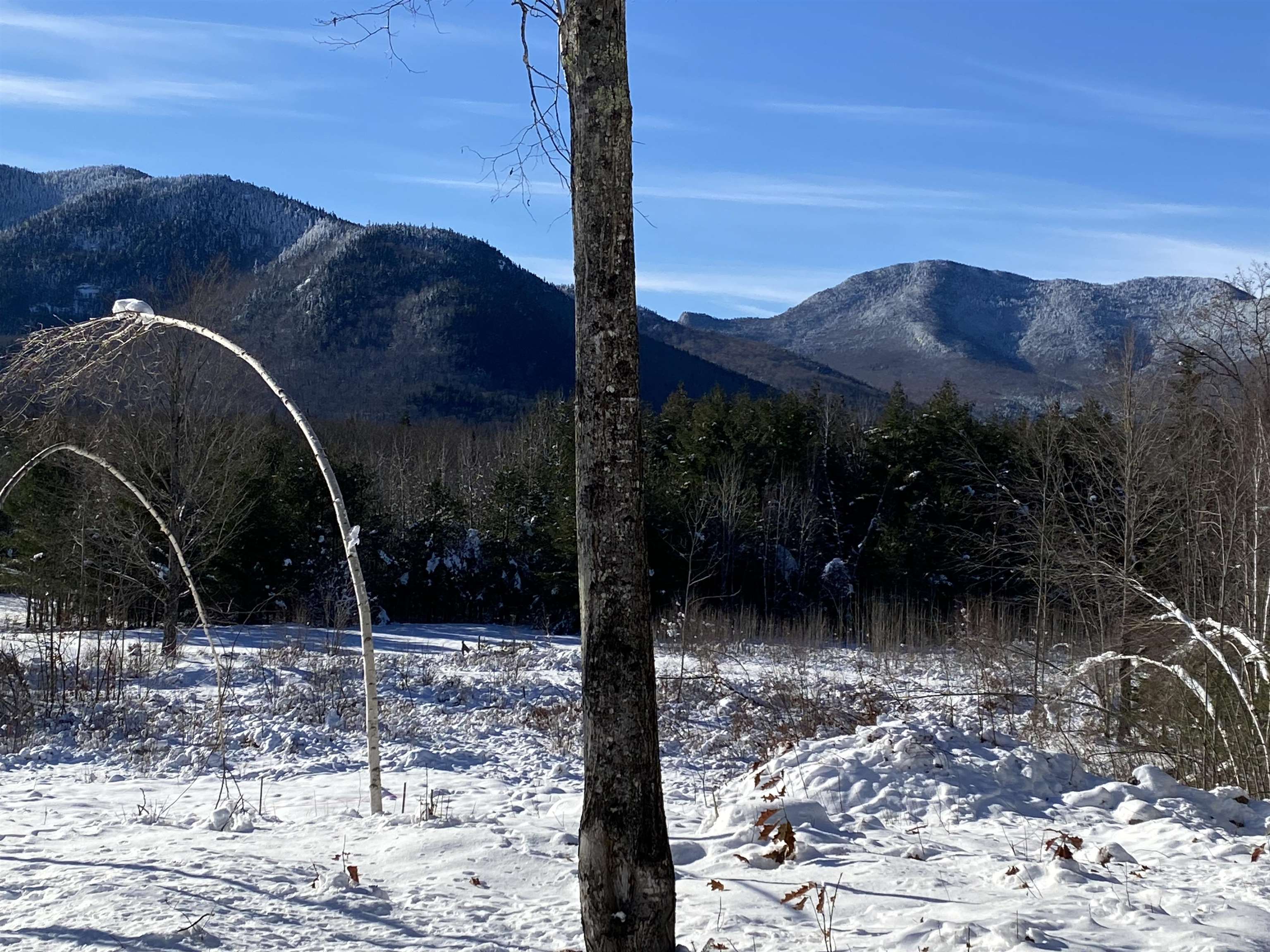 A3 Stanton Farm Road Bartlett, NH 03812 - Photo 6 of 11