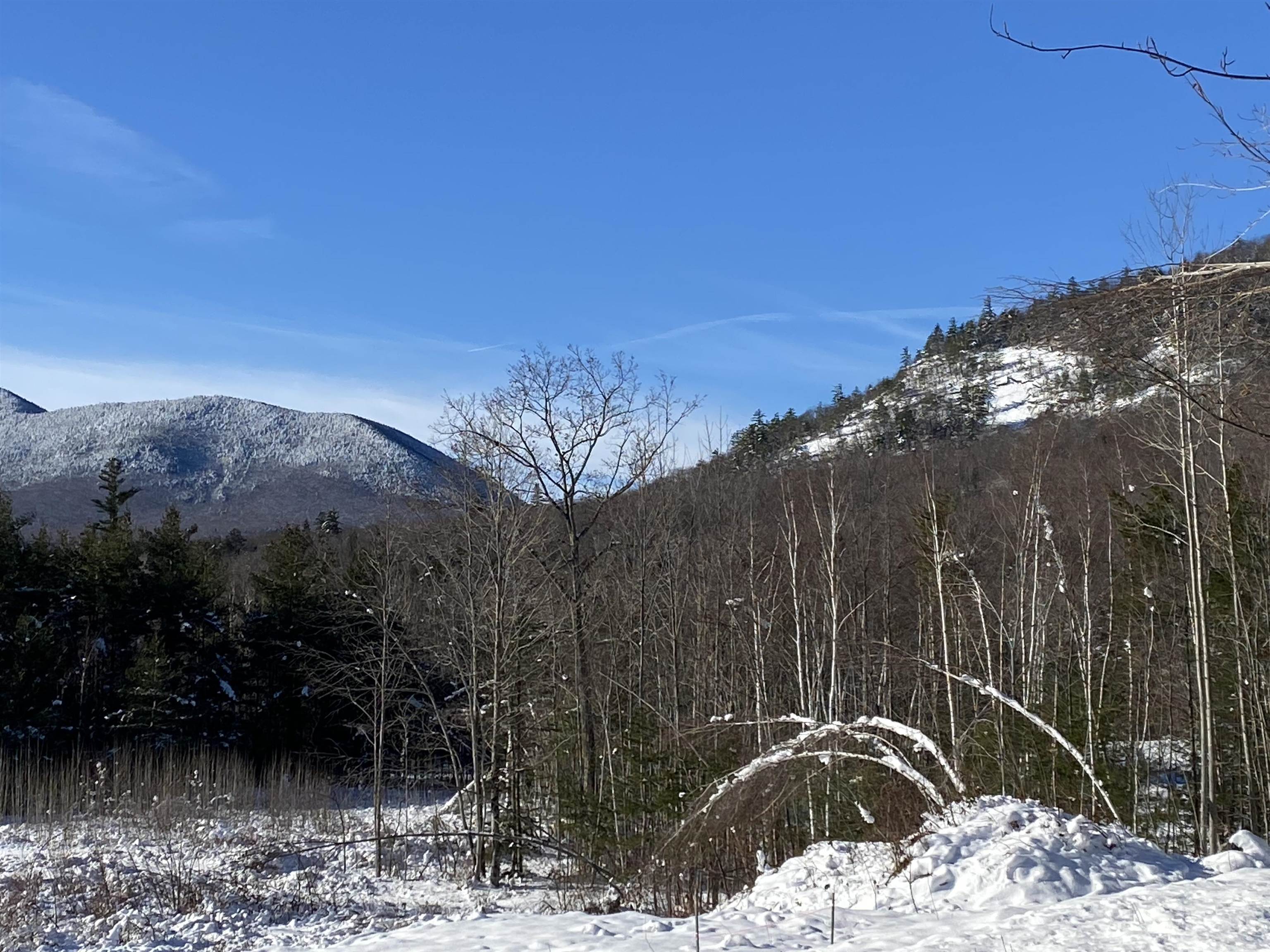 A3 Stanton Farm Road Bartlett, NH 03812 - Photo 7 of 11