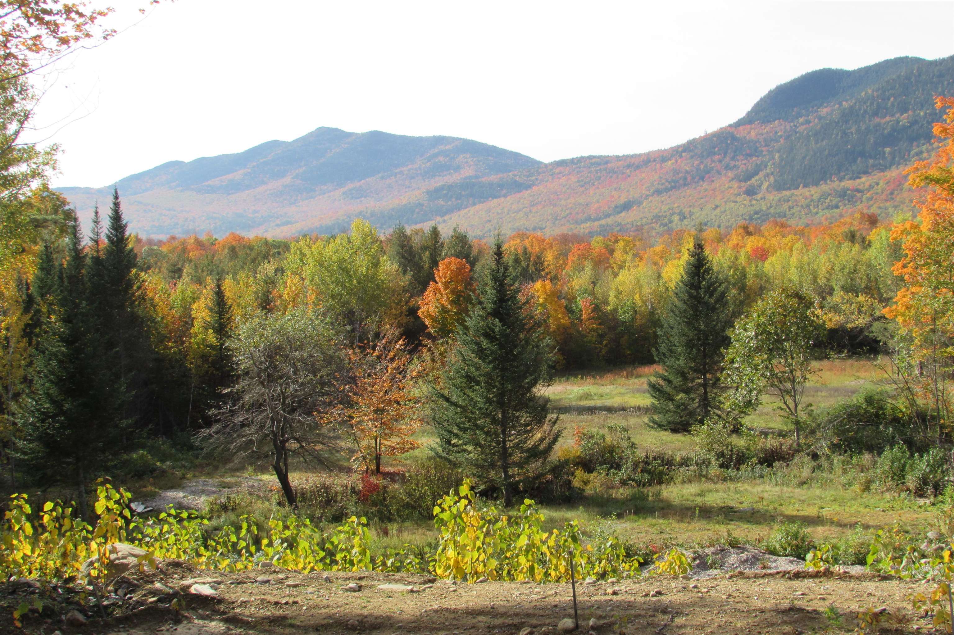 A3 Stanton Farm Road Bartlett, NH 03812 - Photo 8 of 11