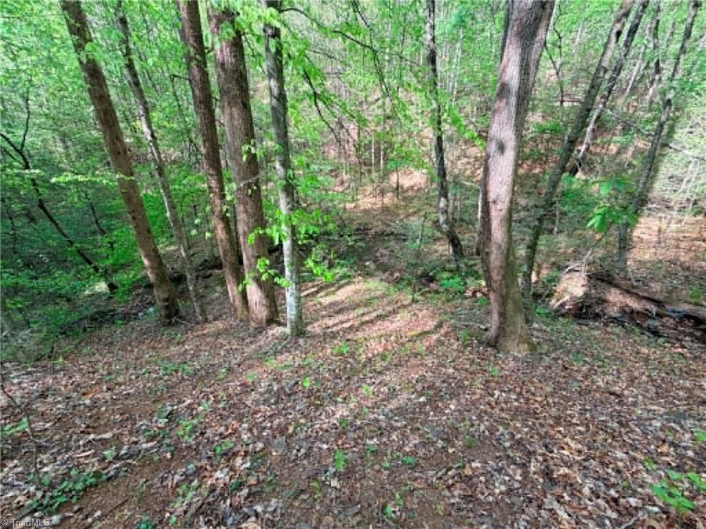 Tbd Shoe Road Millers Creek, NC 28651 - Photo 14 of 18