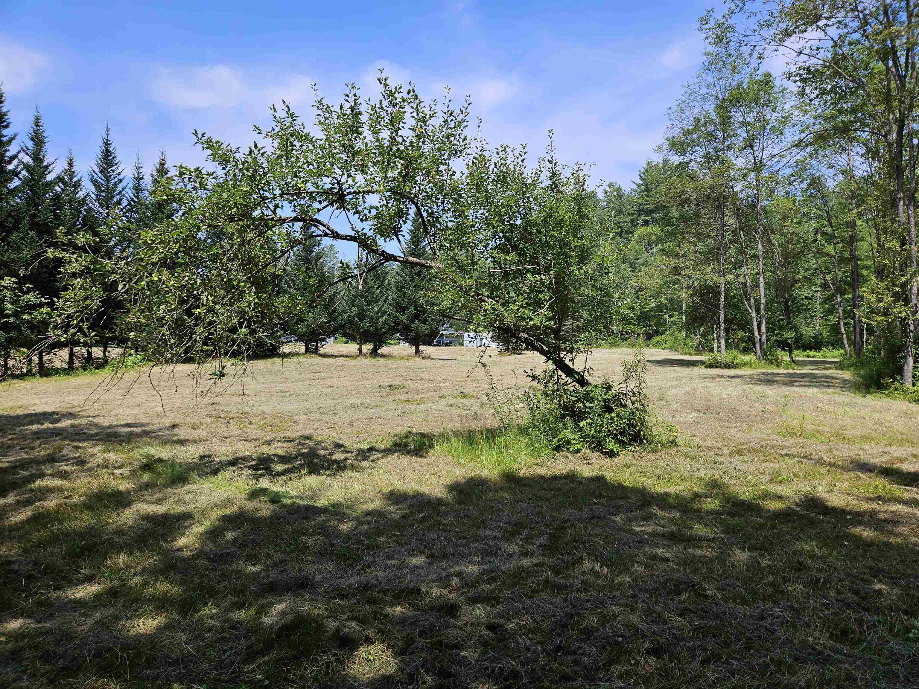 155 Plantation Road Franconia, NH 03580 - Photo 11 of 38