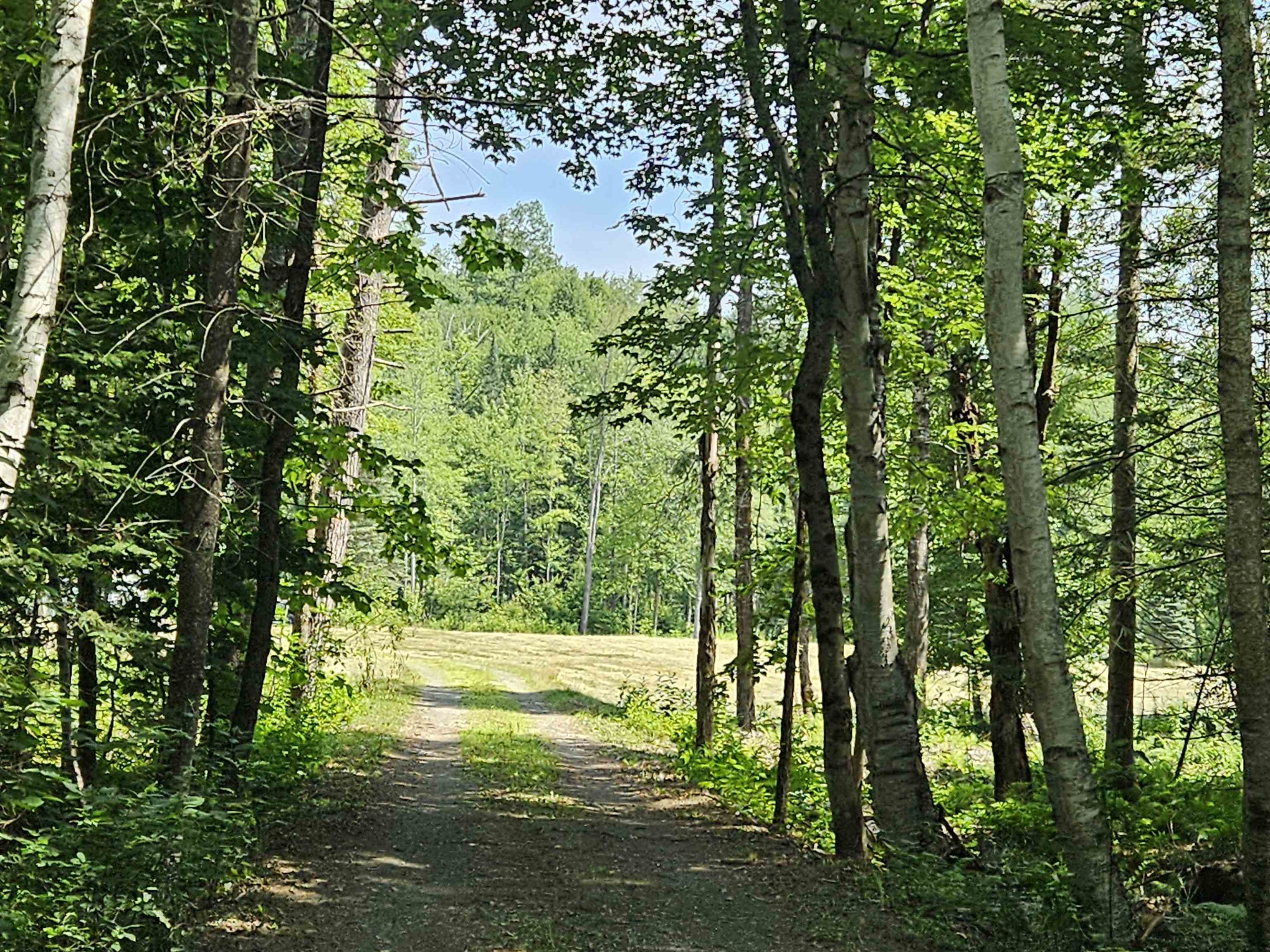 155 Plantation Road Franconia, NH 03580 - Photo 13 of 38