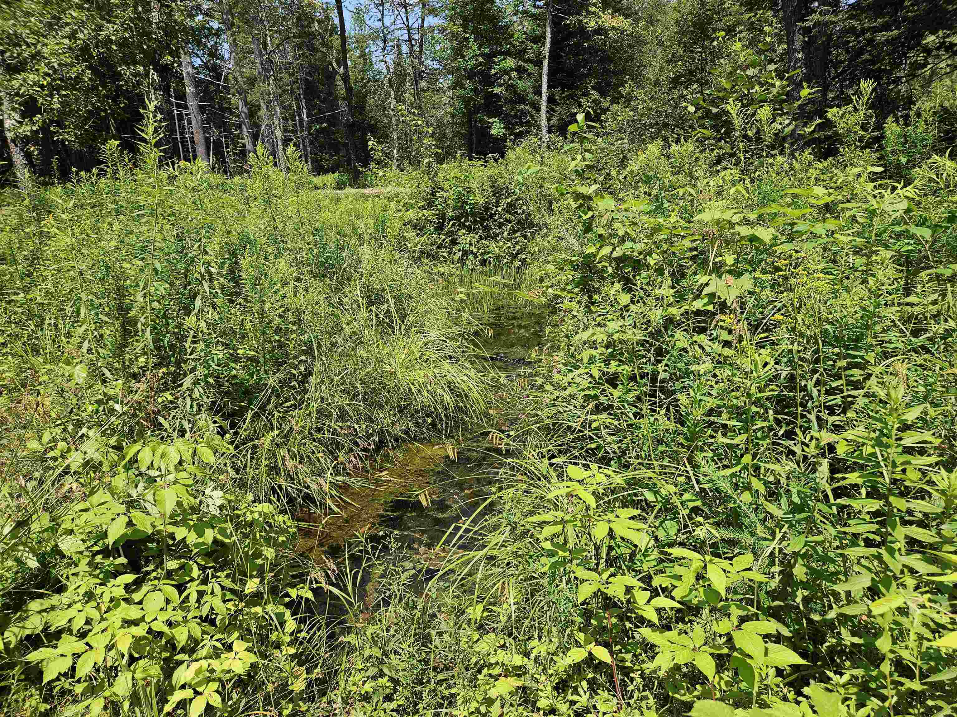 155 Plantation Road Franconia, NH 03580 - Photo 15 of 38