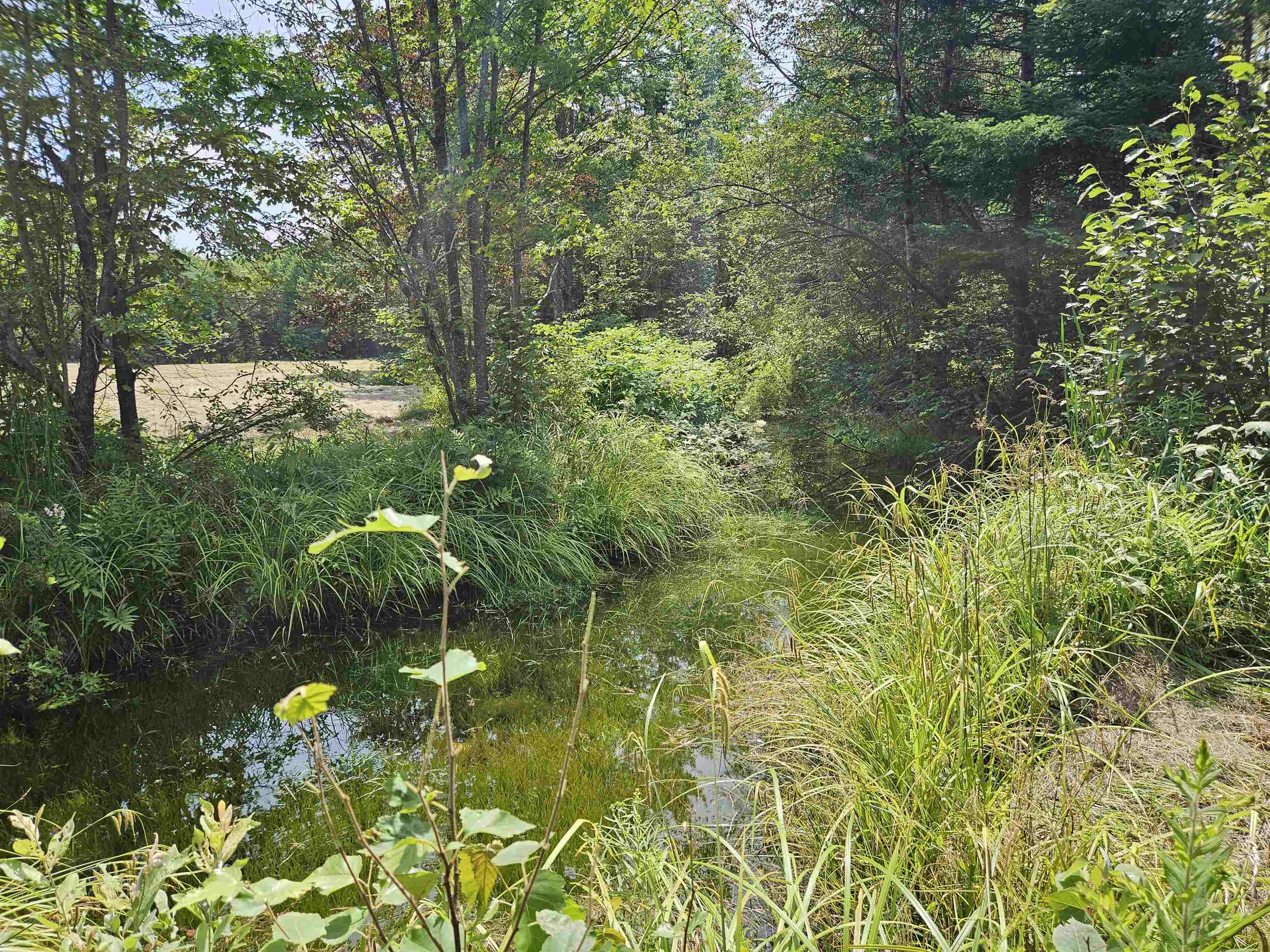 155 Plantation Road Franconia, NH 03580 - Photo 19 of 38