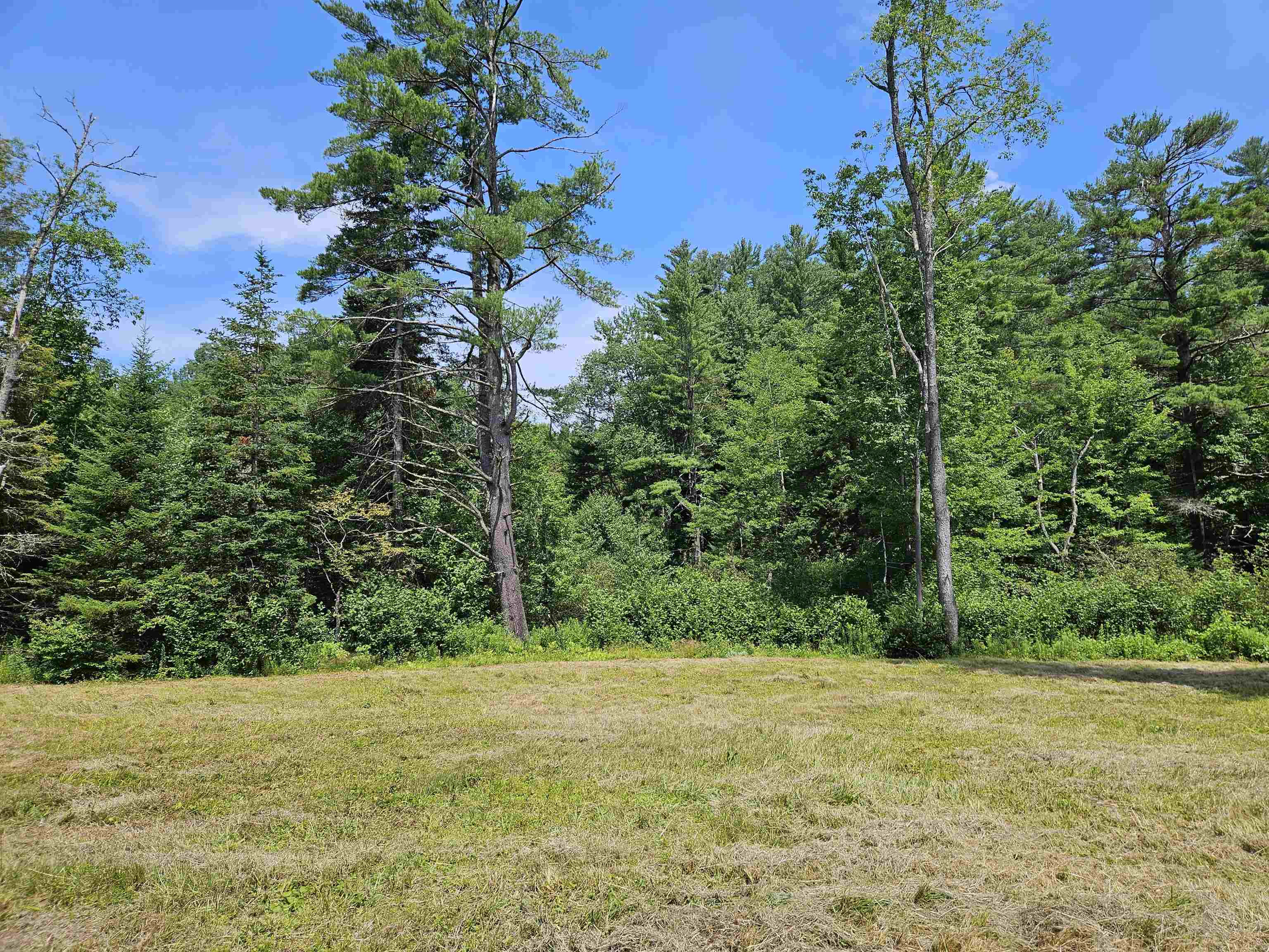 155 Plantation Road Franconia, NH 03580 - Photo 20 of 38