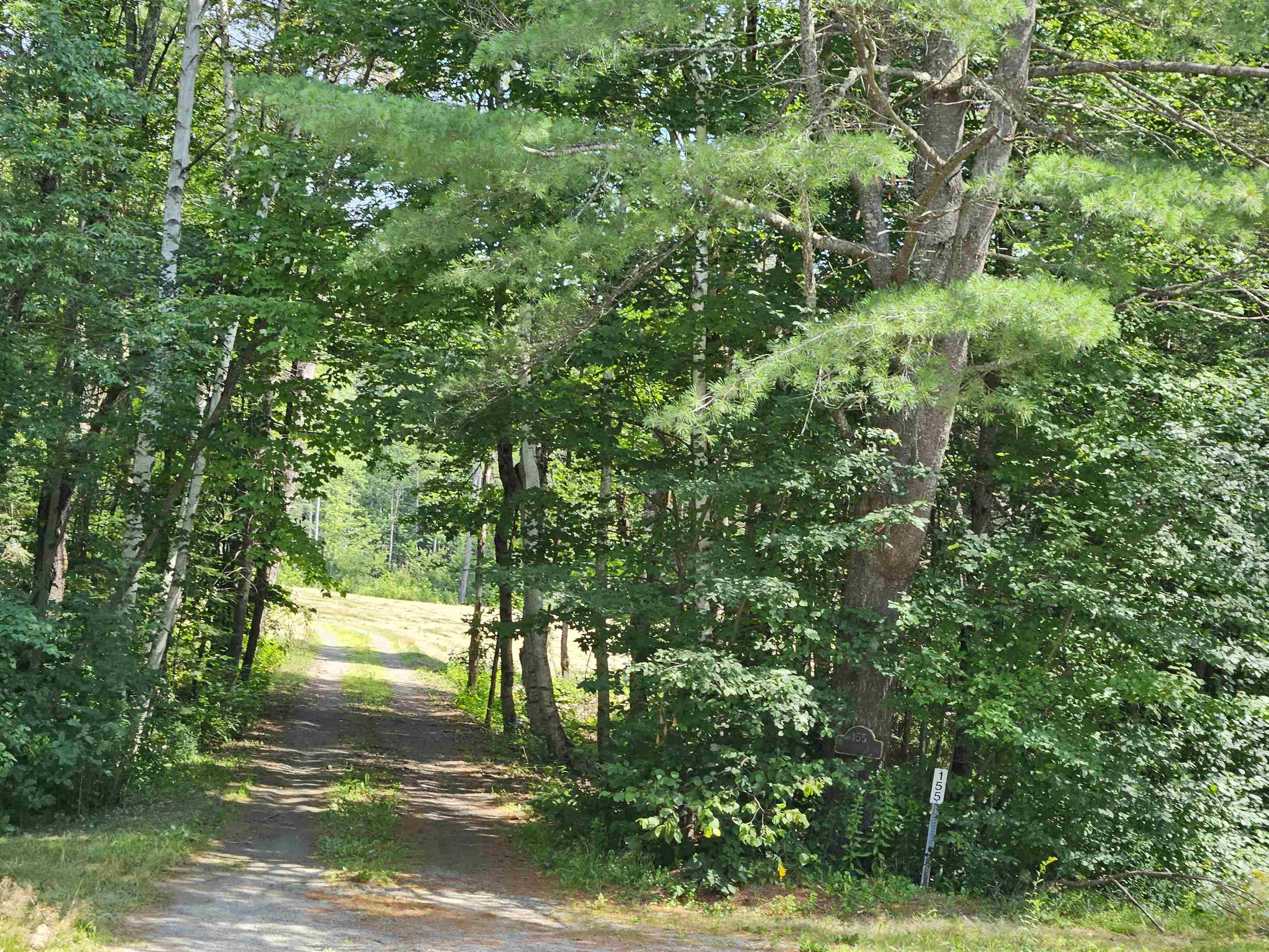 155 Plantation Road Franconia, NH 03580 - Photo 2 of 38