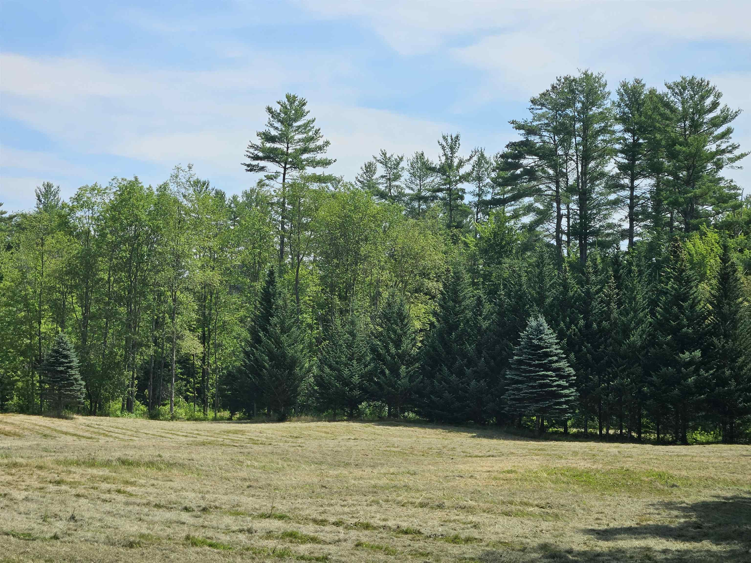 155 Plantation Road Franconia, NH 03580 - Photo 33 of 38