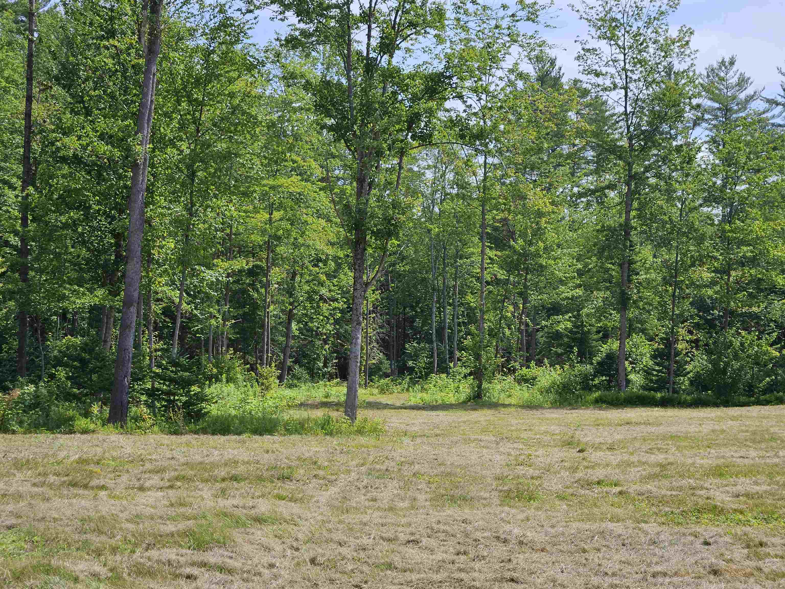 155 Plantation Road Franconia, NH 03580 - Photo 36 of 38