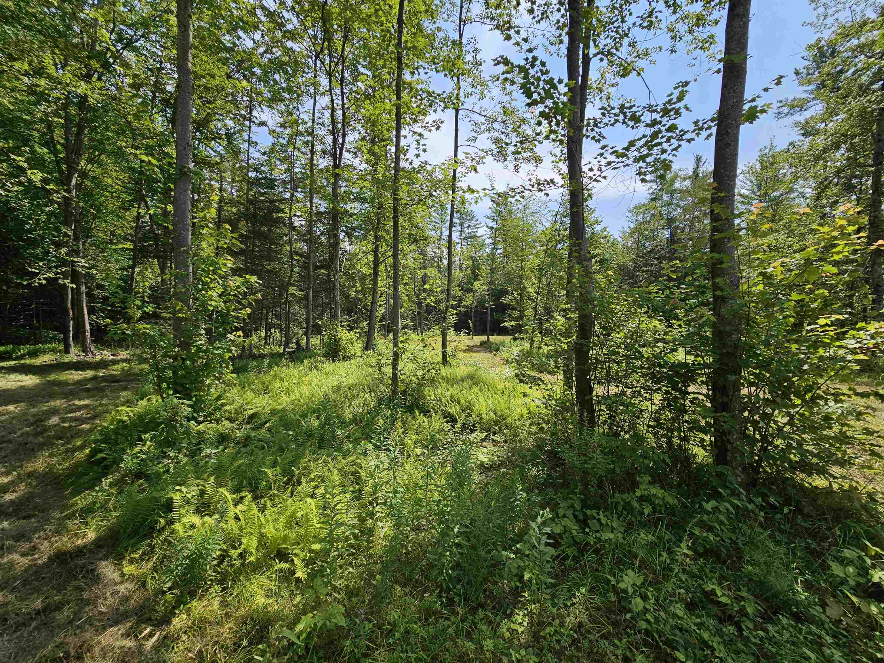 155 Plantation Road Franconia, NH 03580 - Photo 4 of 38