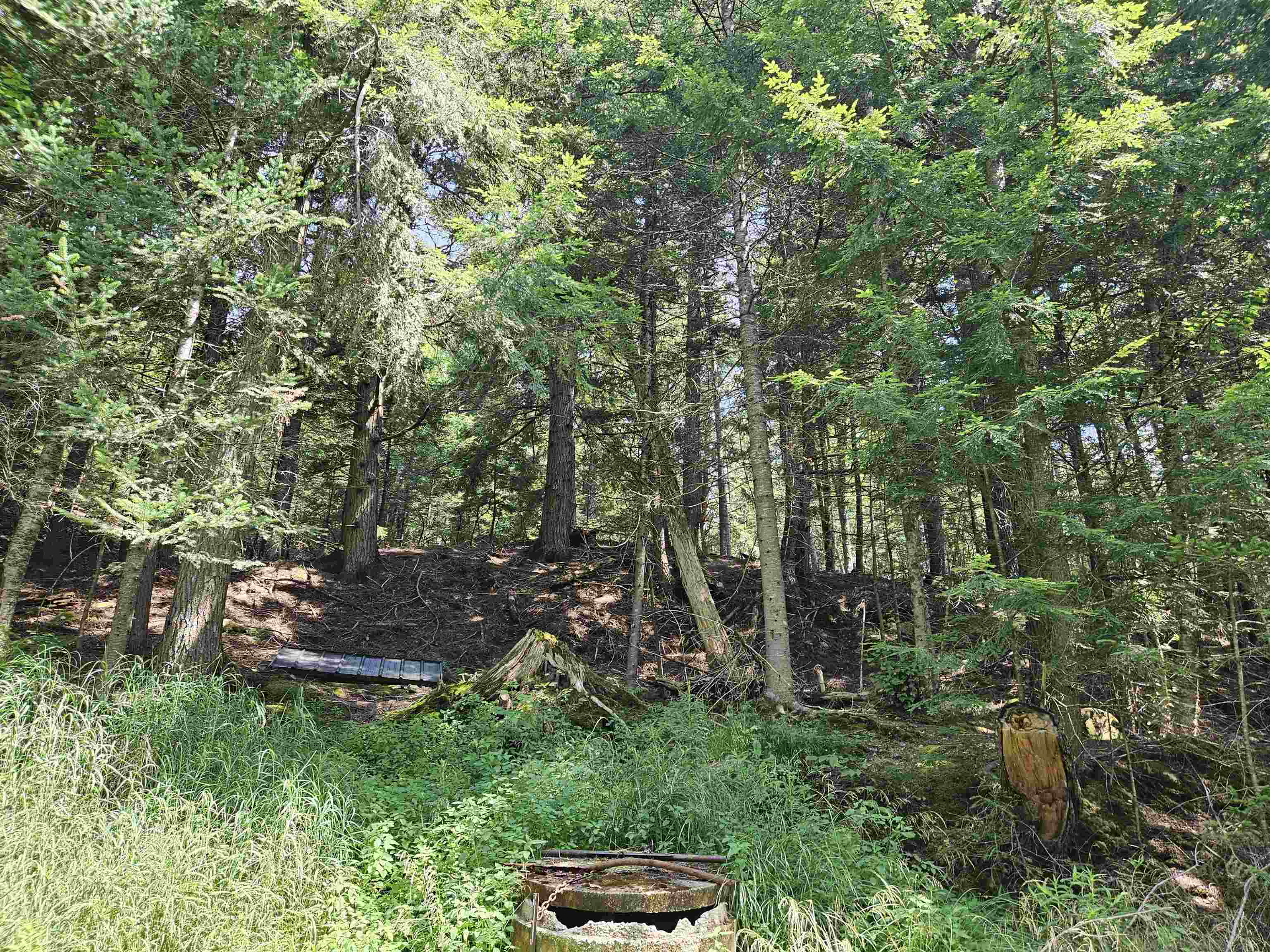 155 Plantation Road Franconia, NH 03580 - Photo 5 of 38