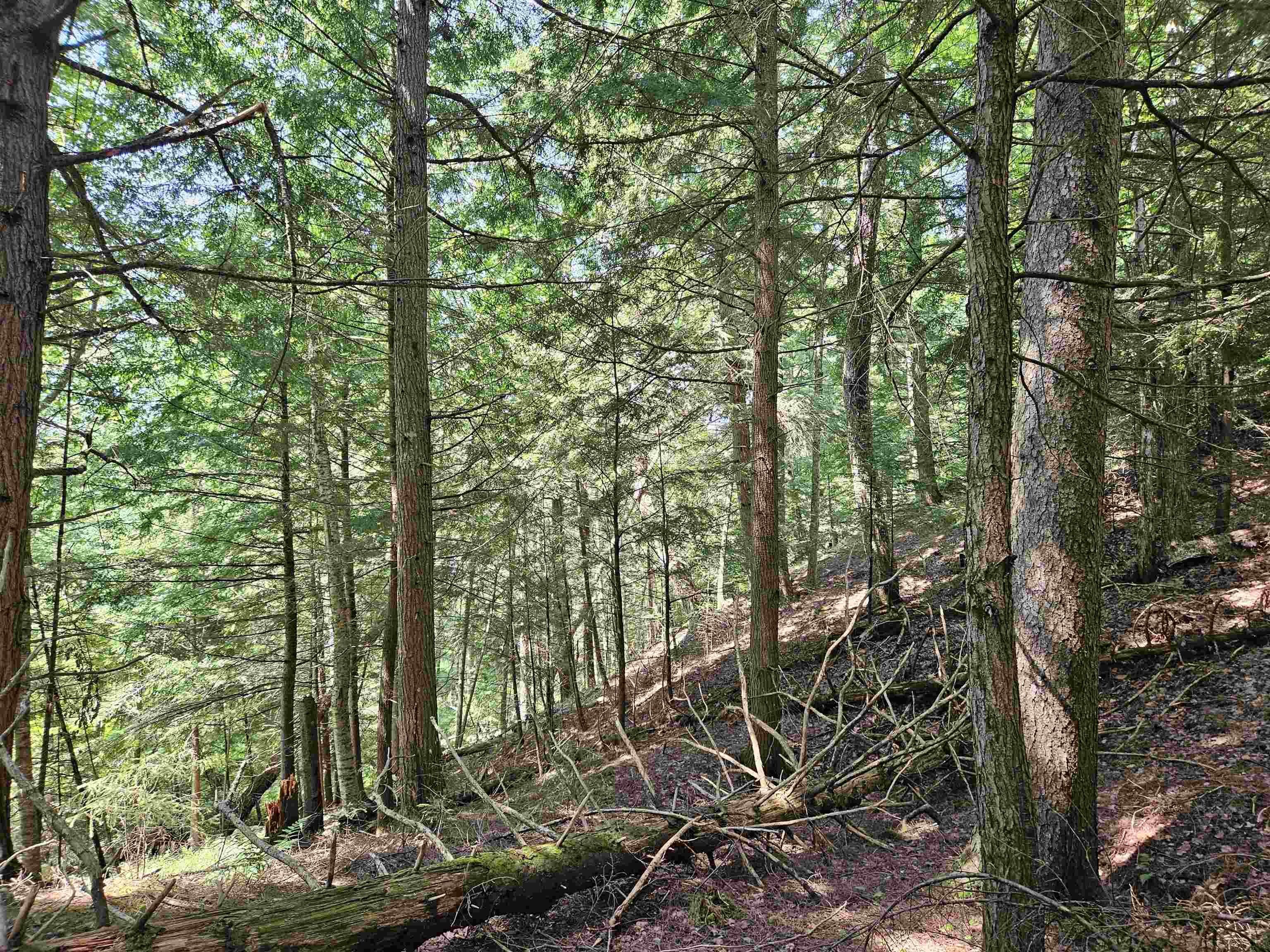 155 Plantation Road Franconia, NH 03580 - Photo 7 of 38