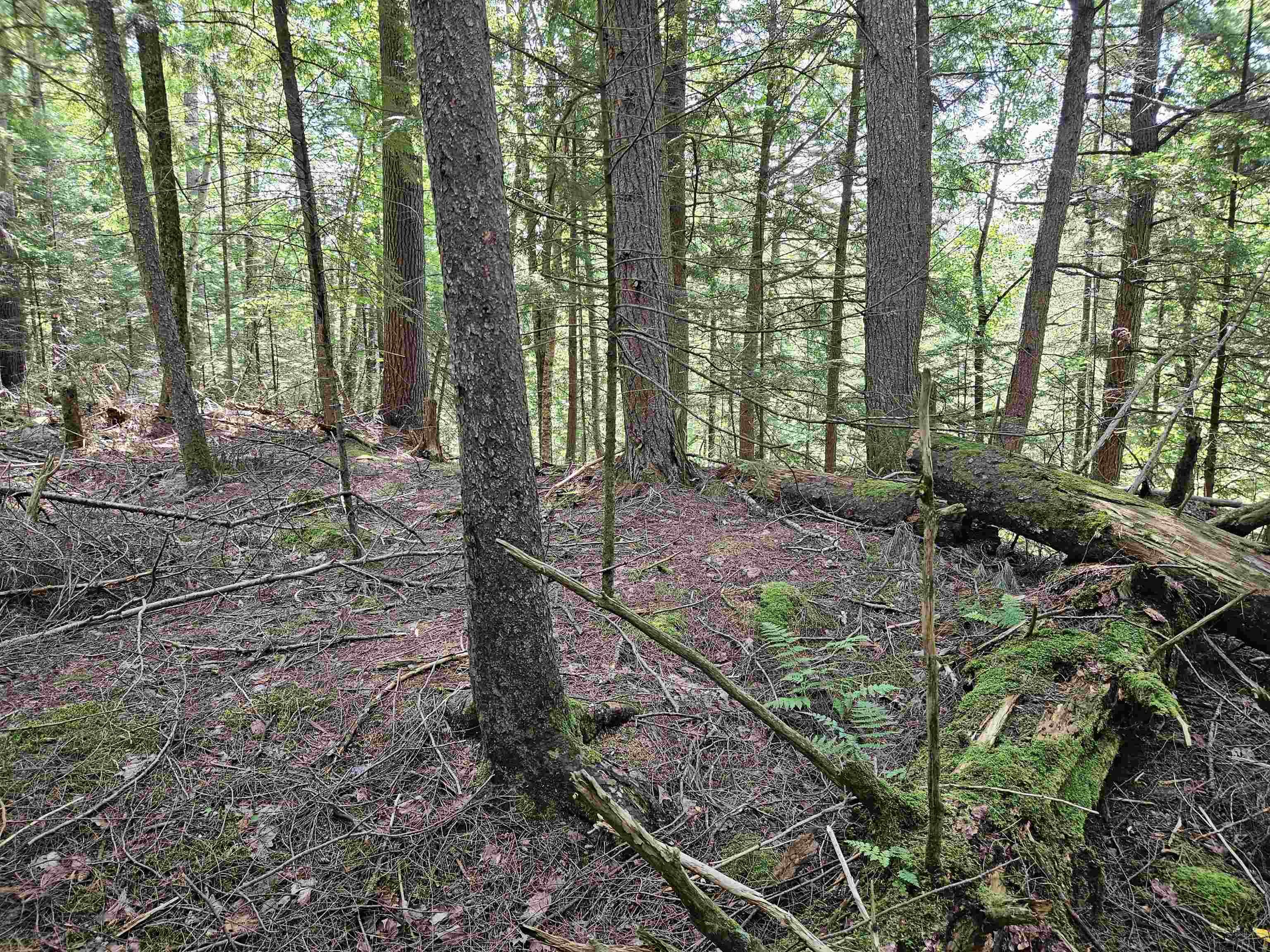 155 Plantation Road Franconia, NH 03580 - Photo 8 of 38