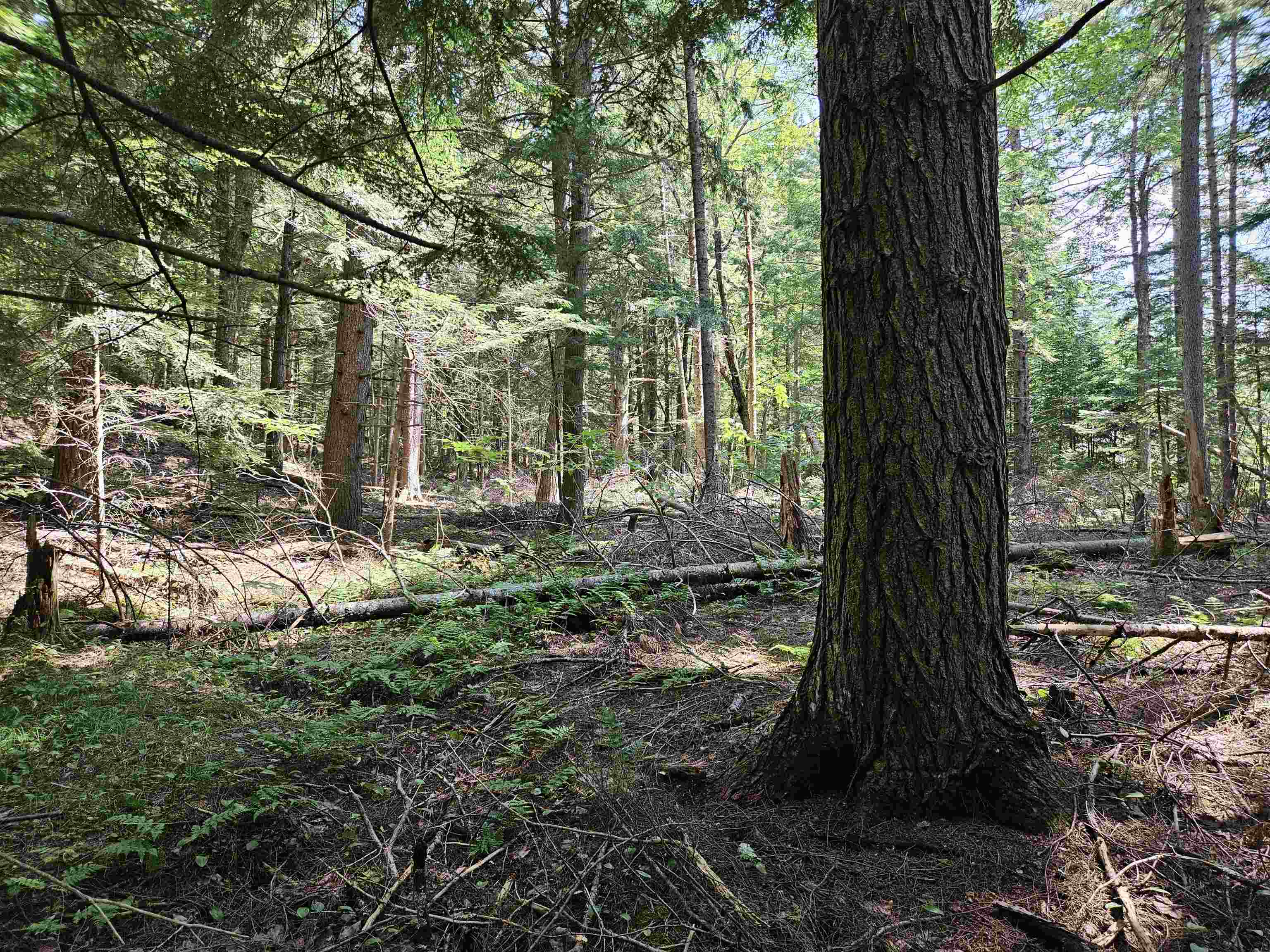 155 Plantation Road Franconia, NH 03580 - Photo 9 of 38