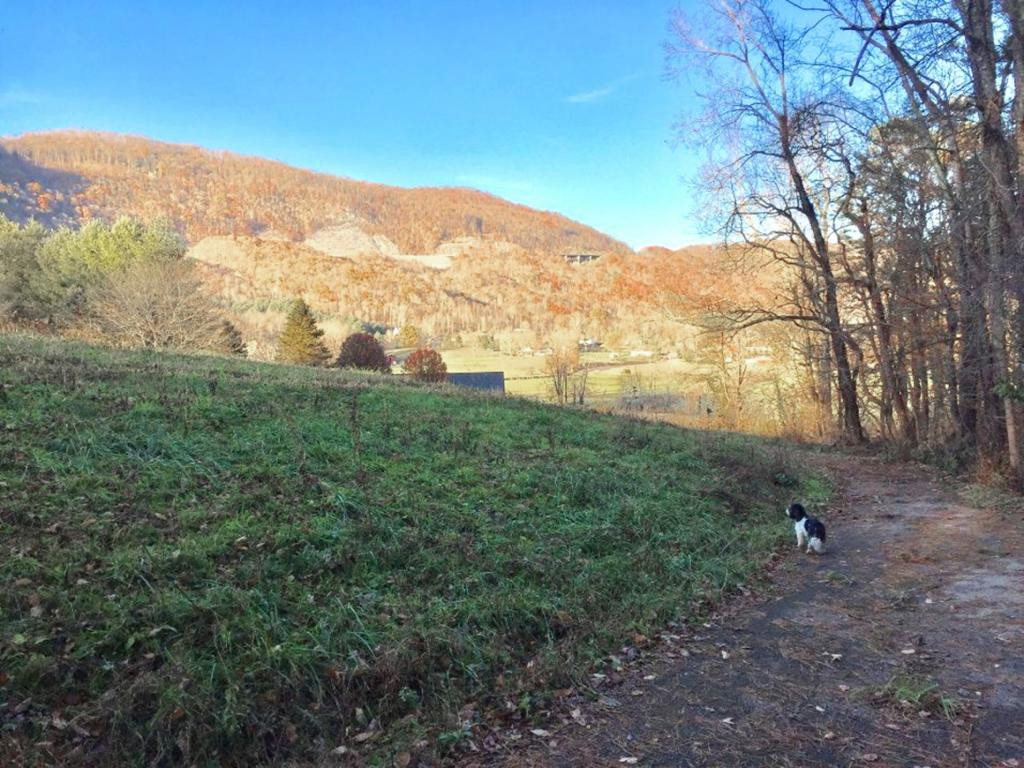 5722 Back Valley Road Big Stone Gap, VA 24219 - Photo 4 of 7 Photo 1