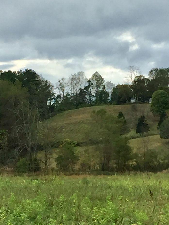 5722 Back Valley Road Big Stone Gap, VA 24219 - Photo 7 of 7 Back valley rd 1