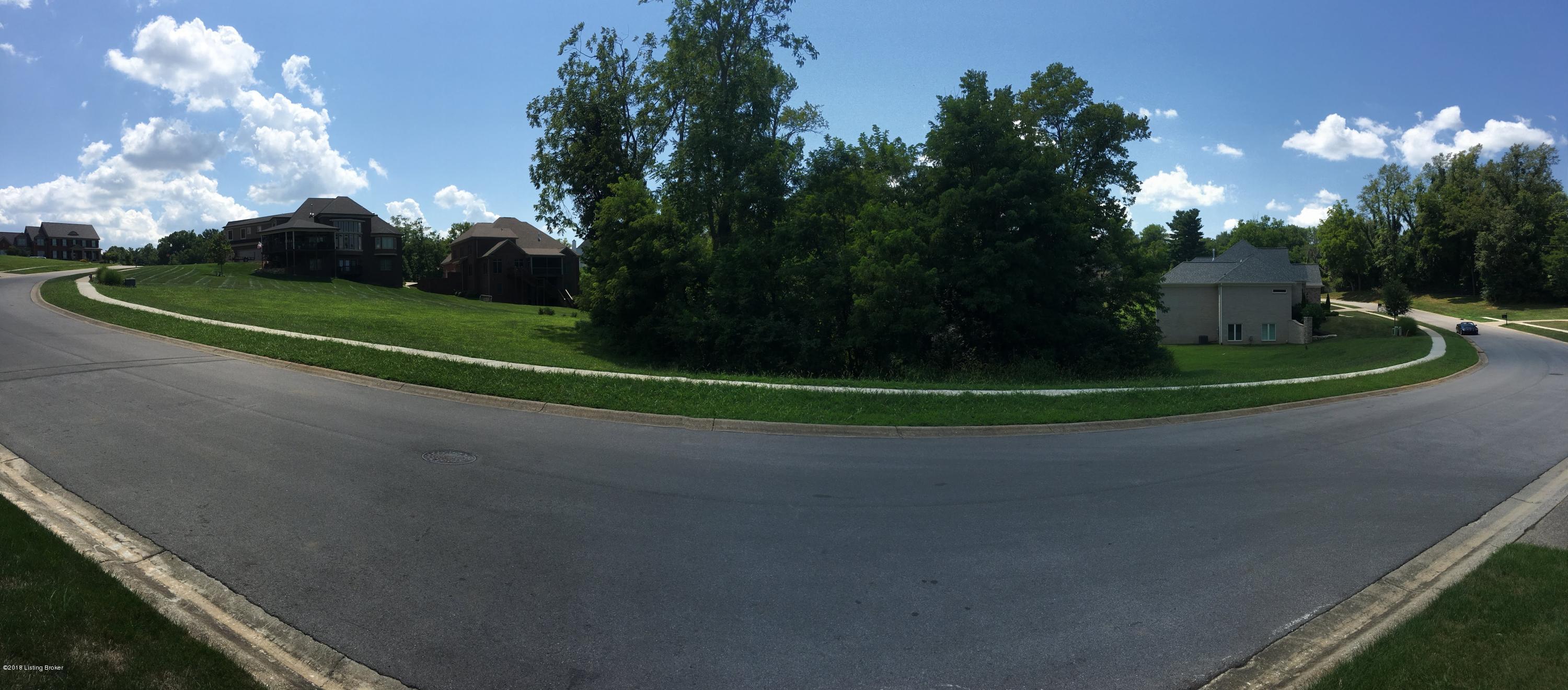 6711 Regal Road Louisville, KY 40222 - Photo 1 of 20 Front of lot. 349 feet of road frontage!