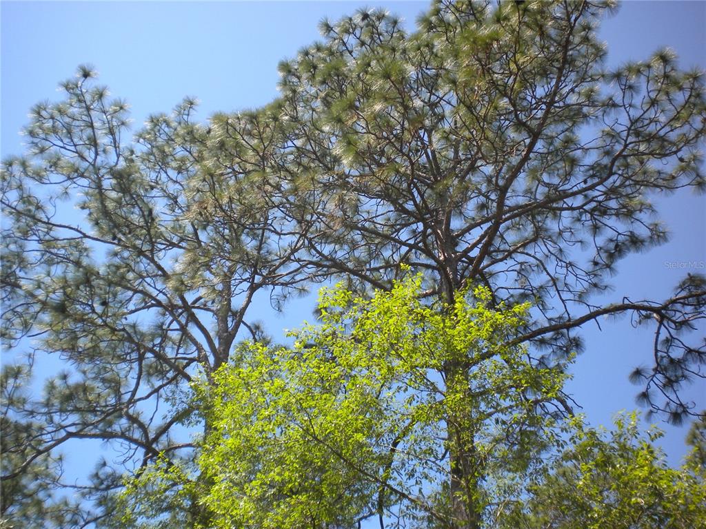 the best investment on earth is earth