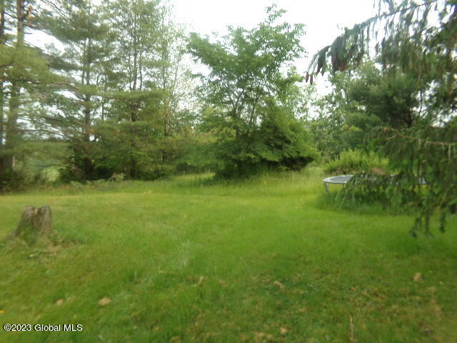 186 Carpenter Road Pittstown, NY 12094 - Photo 40 of 93 105_7786