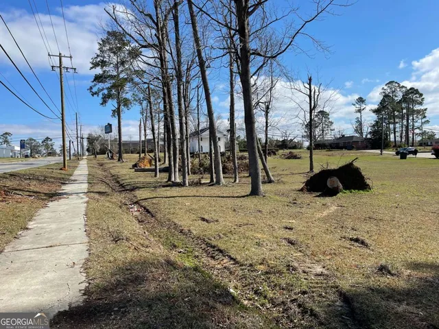 $90,400 | 0 East Spring Street, Mount Vernon, GA 30445