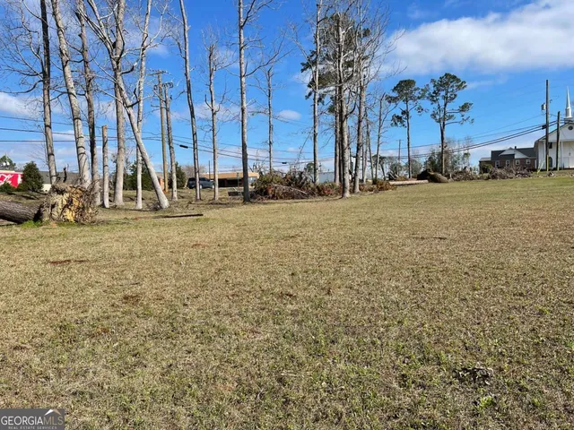 $90,400 | 0 East Spring Street, Mount Vernon, GA 30445