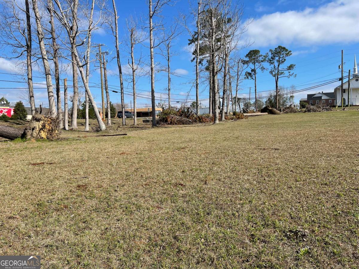 0 East Spring Street Mount Vernon, GA 30445 - Photo 12 of 12