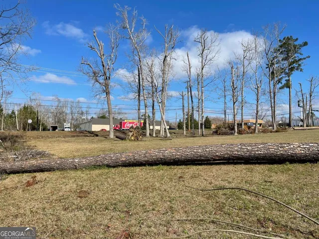 $90,400 | 0 East Spring Street, Mount Vernon, GA 30445