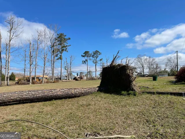 $90,400 | 0 East Spring Street, Mount Vernon, GA 30445