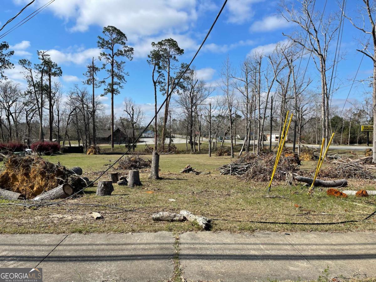 0 East Spring Street Mount Vernon, GA 30445 - Photo 5 of 12