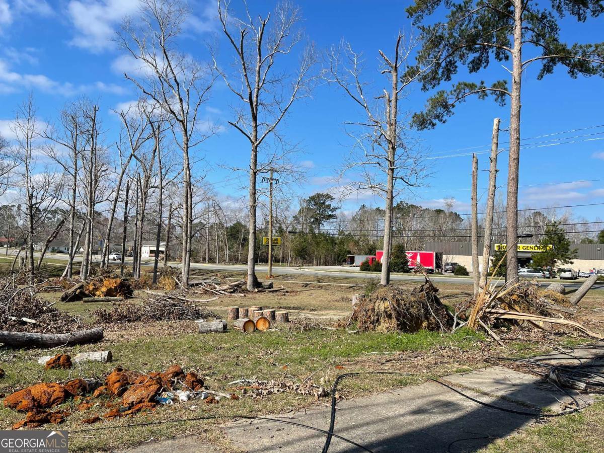0 East Spring Street Mount Vernon, GA 30445 - Photo 6 of 12