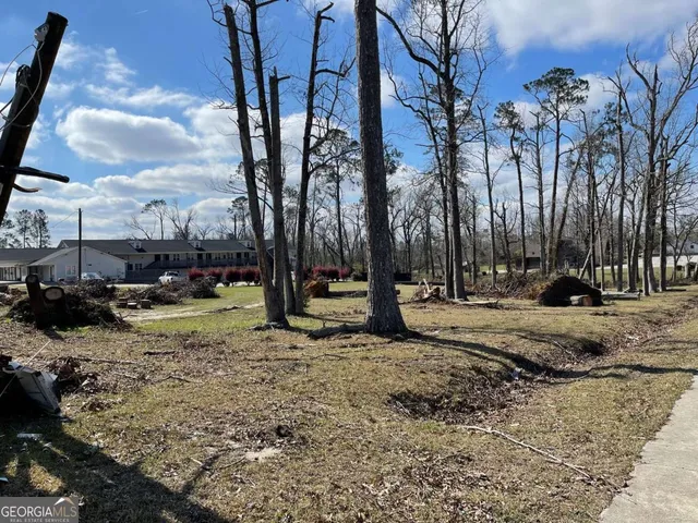 $90,400 | 0 East Spring Street, Mount Vernon, GA 30445