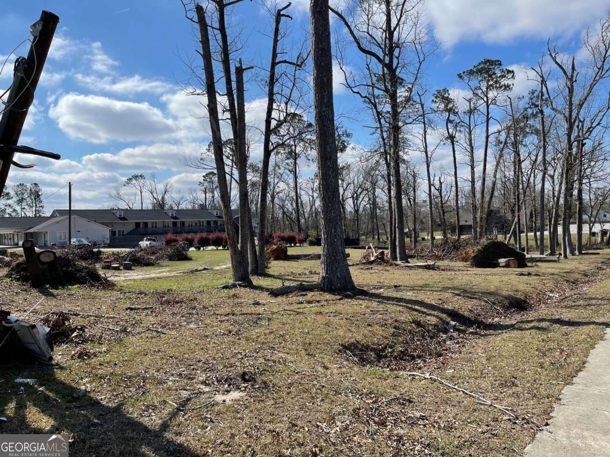 0 East Spring Street Mount Vernon, GA 30445 - Photo 7 of 12