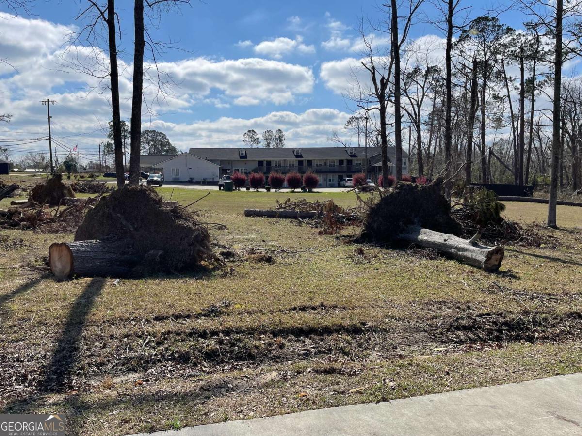 0 East Spring Street Mount Vernon, GA 30445 - Photo 8 of 12