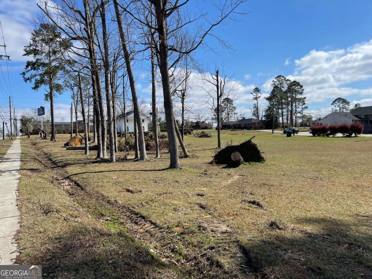 0 East Spring Street Mount Vernon, GA 30445 - Photo 10 of 12