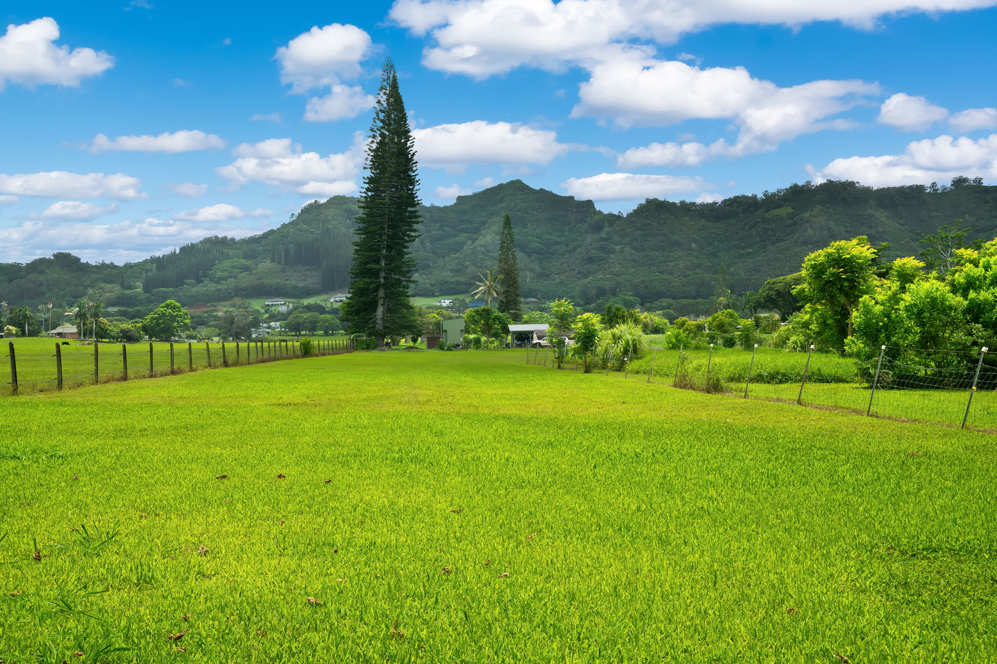 636 Puuopae Road Kapaa, HI 96746 - Photo 22 of 27