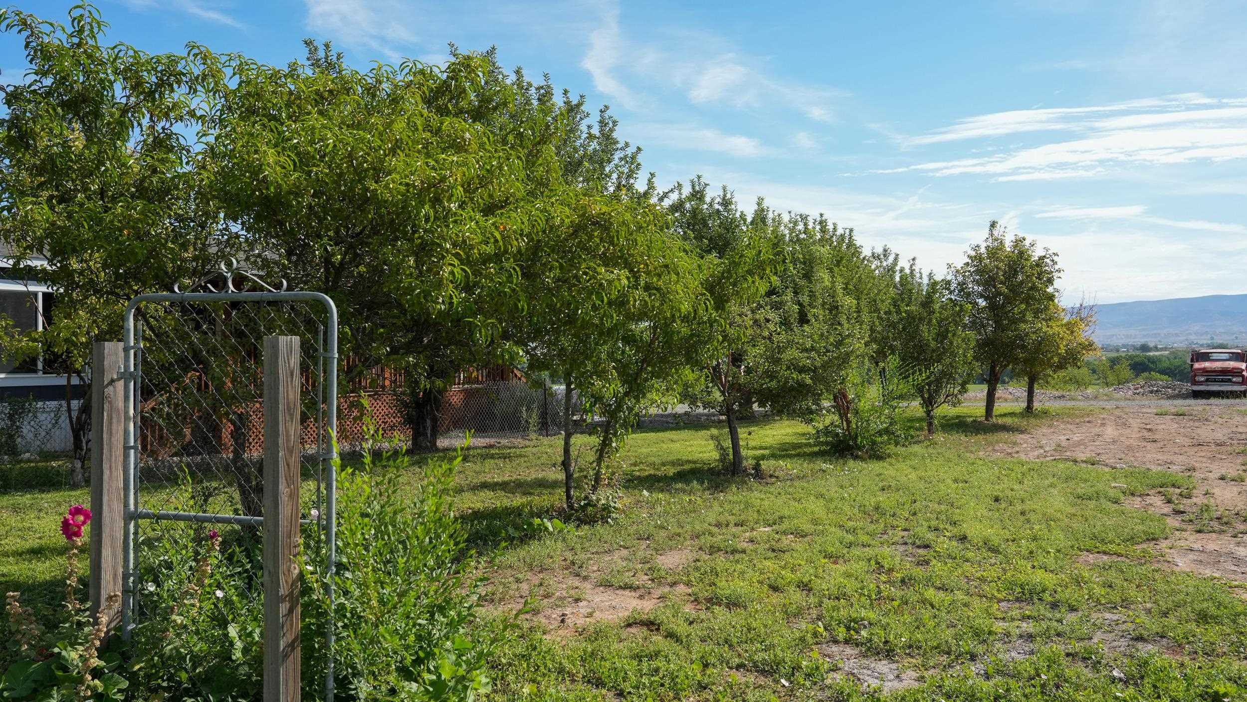 4848 5800th Road Olathe, CO 81425 - Photo 41 of 42 Gallery Image 41